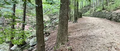 Pod vodopády ↔ Velký Štolpich, vodopád