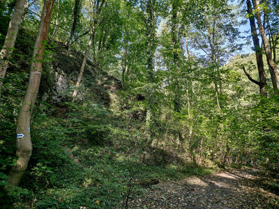 Rezerwat Dolina Mnikowska - szlak niebieski