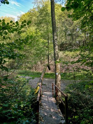 Rezerwat Dolina Mnikowska - kładka na Sance