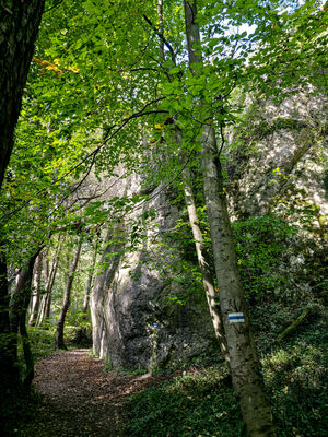Rezerwat Dolina Mnikowska - szlak niebieski
