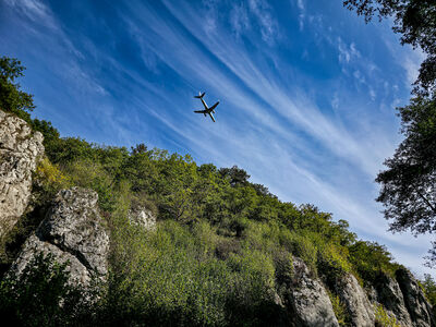 Rezerwat Dolina Mnikowska - szlak niebieski