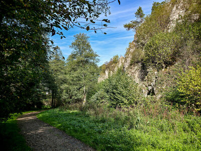 Rezerwat Dolina Mnikowska - szlak niebieski