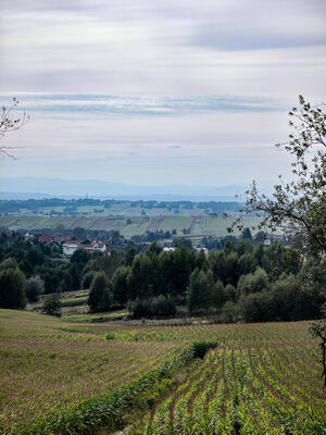 Widok na południe z niebieskiego szlaku wzdłuż autostrady A4