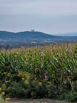 Klasztor w krakowskich Bielanach z niebieskiego szlaku