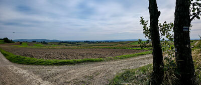 Wąwóz Półrzeczki ↔ Odejście ścieżki widokowej [Widok na południowy-wschód z niebieskiego szlaku]
