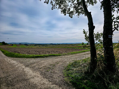 Widok na południowy-wschód z niebieskiego szlaku