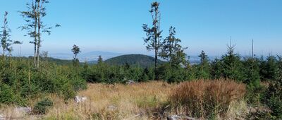 Rozejście szlaków ↔ Szeroka