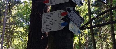 Przełęcz Woliborska