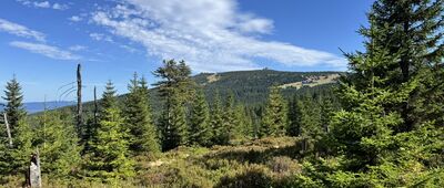 Jakuszyce ↔ Dolina Kamieńczyka, granica parku narodowego