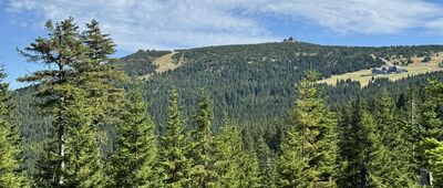 Jakuszyce ↔ Dolina Kamieńczyka, granica parku narodowego