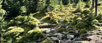 Dolina Kamieńczyka, granica parku narodowego