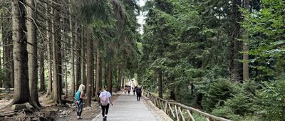 Wodospad Kamieńczyka