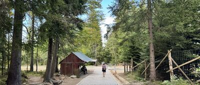 Rozdroże pod Kamieńczykiem