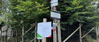 Rozdroże pod Kamieńczykiem