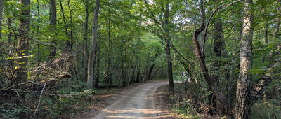 Dojście do wieży widokowej ↔ Łęg nad Swelinią