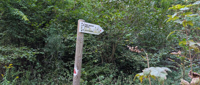 Dojście do wieży widokowej