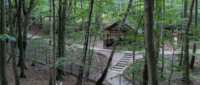 Gdynia, ul. Wzgórze Bernadowo ↔ Dojście do wieży widokowej