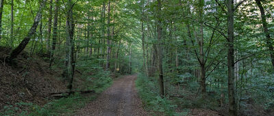 Zbiornik Krykulec ↔ Las Witomiński, Potok Mariański