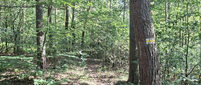 Igrzyczna [Igrzyczna [20.07.2025]]