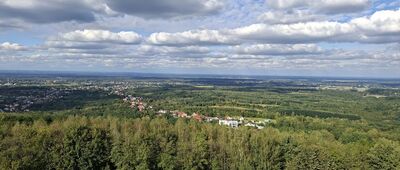 Brzesko, ul. Browarna ↔ Rozejście szlaków