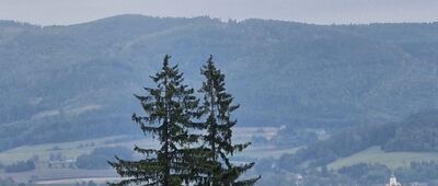 Góra Wszystkich Świętych