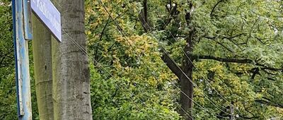 Kościelec ↔ Słupiec, ul. Piwna