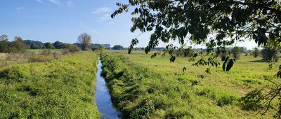 Dęblin, ul. Spacerowa ↔ Bobrowniki [Łąki nadwieprzańskie]