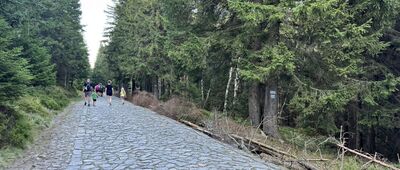 Budnicza Struga ↔ Wapniak