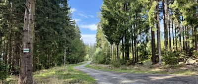 Skrzyżowanie pod Ślepowronem ↔ Droga Hugona, II