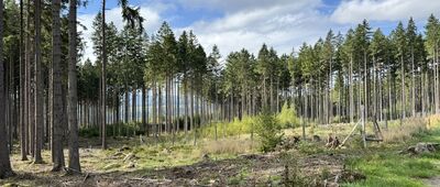 Skrzyżowanie pod Ślepowronem ↔ Droga Hugona, II