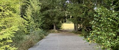 Skalne Grzyby, parking