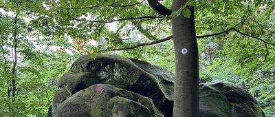 Orlik, punkt widokowy