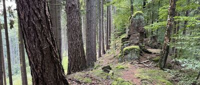 Brzytwa, odejście na punkt widokowy ↔ Orlik, punkt widokowy