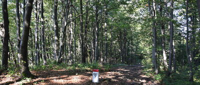 Lackowa ↔ Pod Ostrym Wierchem