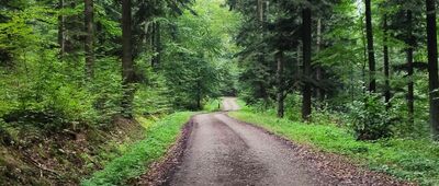 Rozejście szlaków ↔ Tuchowski Las, parking