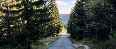 Brádlerovy boudy ↔ Medvědí bouda, rozc.