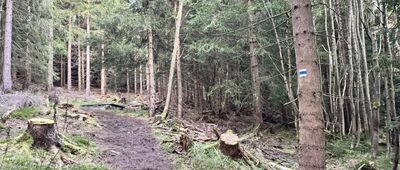 Davidovy boudy ↔ Skrzyżowanie szlaków