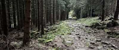 Skrzyżowanie szlaków