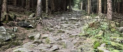 Skrzyżowanie szlaków