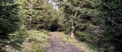 Rozejście szlaków ↔ Skrzyżowanie szlaków