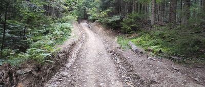 Stacja Turystyczna Słowianka ↔ Żabnica, Skałka, parking [Czarny szlak z Żabnicy Skałka w kierunku Słowianki]