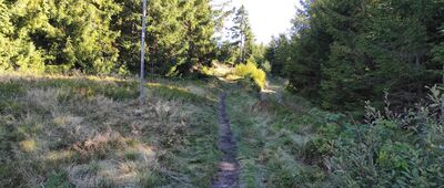 Przełęcz Pawlusia [Żółty szlak z Przełęczy Pawlusia na Martoszkę]