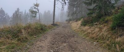 Schronisko PTTK Hala Lipowska ↔ Schronisko PTTK Na Rysiance [Z Rysianki na Halę Lipowską]