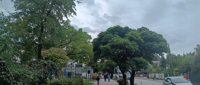 Ustroń, ul. Doktora Michała Grażyńskiego ↔ Ustroń, rondo Miast Partnerskich