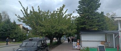 Ustroń, rondo Miast Partnerskich ↔ Ustroń, rondo Miast Partnerskich