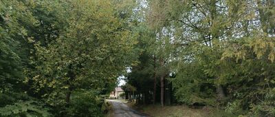 Ustroń, ul. Myśliwska