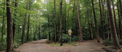 Bielsko-Biała, rozejście szlaków