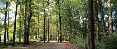 Bielsko-Biała, rozejście szlaków