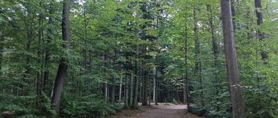 Bielsko-Biała, rozejście szlaków ↔ Bielsko-Biała, ul. Pocztowa