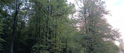 Bielsko-Biała, rozejście szlaków ↔ Bielsko-Biała, ul. Pocztowa